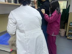 -瑞派蒂凯宠物医院·免疫点·宠保定点