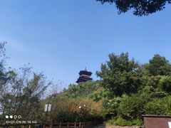 -杭州半山国家森林公园