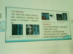 -珠海市中西医结合医院
