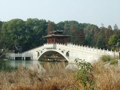 -东湖落雁景区