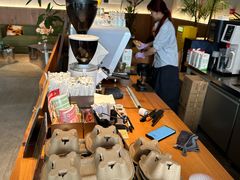 -YOLO COFFEE悠乐咖啡