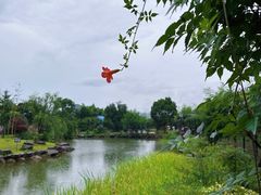 -兰亭风景区