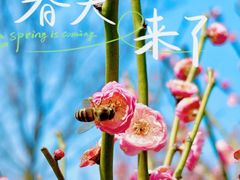 -新虹桥中心花园
