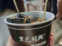 -黑色经典臭豆腐·湖南特产(潇湘文化店)