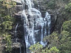 -海南热带雨林国家公园吊罗山景区