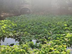 -北京民族园葉子里酒店(鸟巢店)