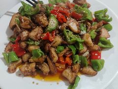 -煲来饱去冷水鱼