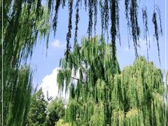 -玲珑塔公园