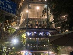 -Rainforest