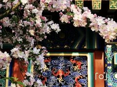 -元大都城垣遗址公园