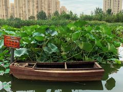-前关湿地公园