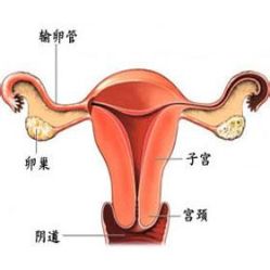 -邢台妇产医院