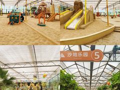 -南宫五洲植物乐园