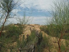 -黄沙古渡原生态旅游区