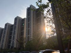 -美的鹭湖森林度假区