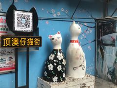 -猫咪博物馆(顶澳仔猫街店)