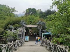 -王顺山国家森林公园
