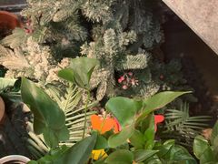 -泰古龙抓龙筋·spa按摩(静安店)