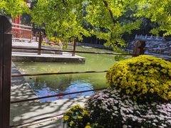 -水煮三国·川鲁江湖菜(香山店)