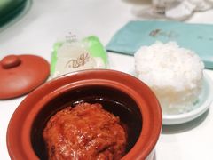 张氏狮子头-羲和雅苑•北京烤鸭(陆家嘴中心店)