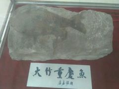 -四川大学博物馆