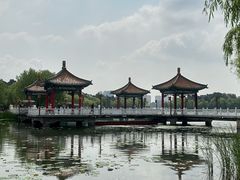 -长春市南湖公园