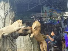 -清迈夜间动物园