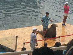 -北戴河圣蓝海洋公园