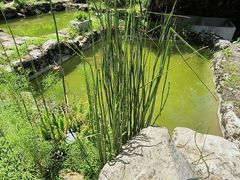 -MOJ coffee(瓯海泽雅水碓坑店)