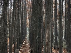 -采石矶景区