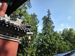 -香山公园