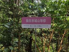 -天台山赤城山景区