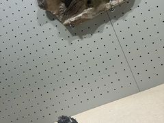 -辽宁古生物博物馆