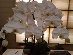 -视界美食自助餐厅·石家庄希尔顿酒店