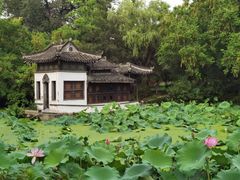 -扬州大运河文化旅游度假区·盆景园