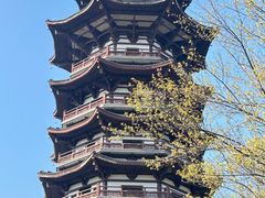 -洋湖国家湿地公园