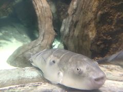 -临沂极地海洋王国