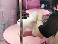 -FAELING PETS美天灵宠物(富力广场店)