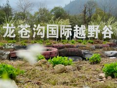 -龙苍沟森林公园