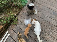 -派联宠物医院·24h·CT·异宠