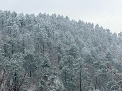 -四明山国家森林公园