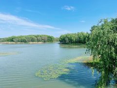 -昆山城市生态森林公园