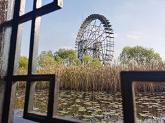 -苏州太湖湖滨国家湿地公园