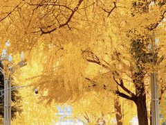 -四川大学(华西校区)