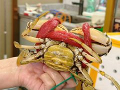 -膳富贵黄油蟹体验馆(欢乐港湾店)