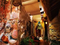 -叶叶菩提(太原别墅店)