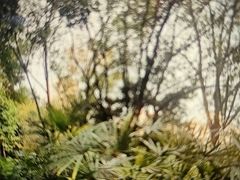-龙头寺公园