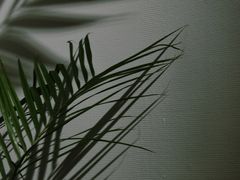 -大芬美术馆