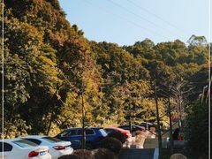 -广州市帽峰山景区