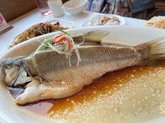 -庐州太太(双岗店)